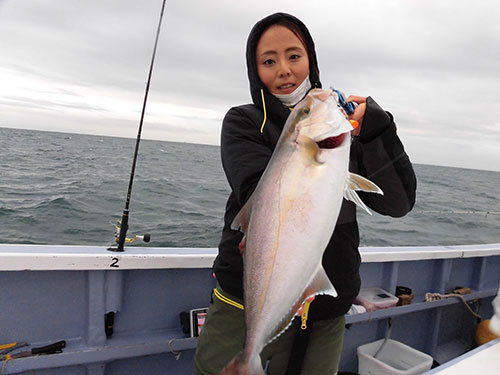 刺し身が美味しい、カンパチの若魚・ショゴ