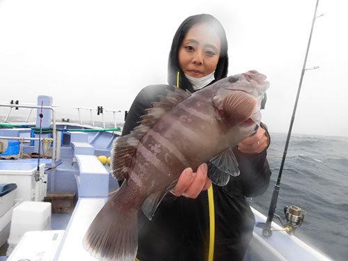 高級魚のマハタも大原の定番!