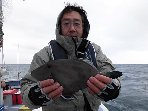 ウマヅラハギは下処理が決め手