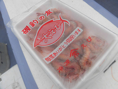 付け餌はお馴染みの冷凍エビ