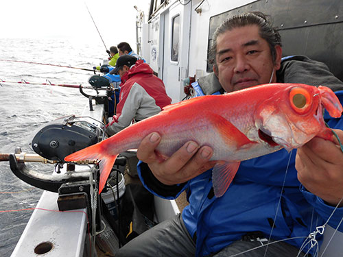 イルカの難を逃れた1匹!