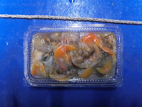 餌にはアオヤギを使う