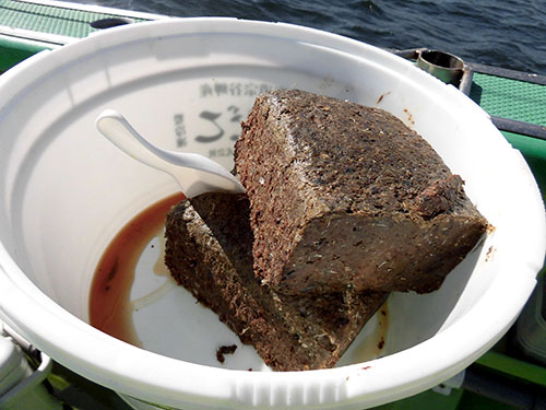 コマセはお馴染みイワシミンチ