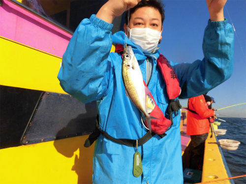 「初めてアジを釣りました」