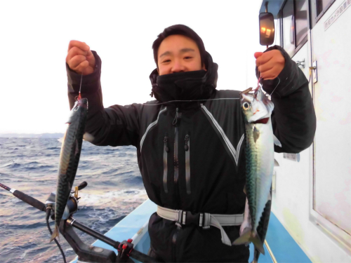 次々に釣れます