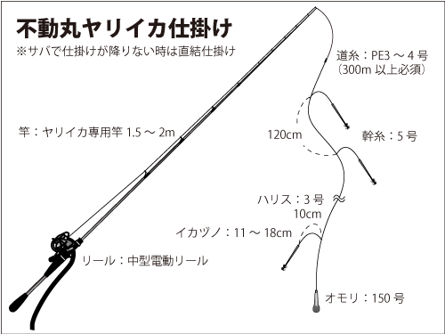 仕掛け図(ヤリイカ)