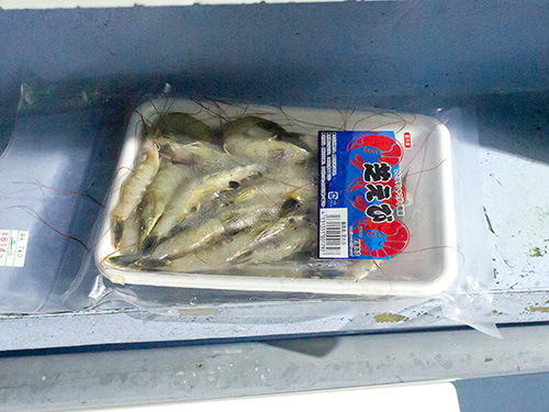 冷凍エビも購入可能