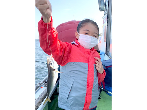 見て!可愛いアジでしょ!