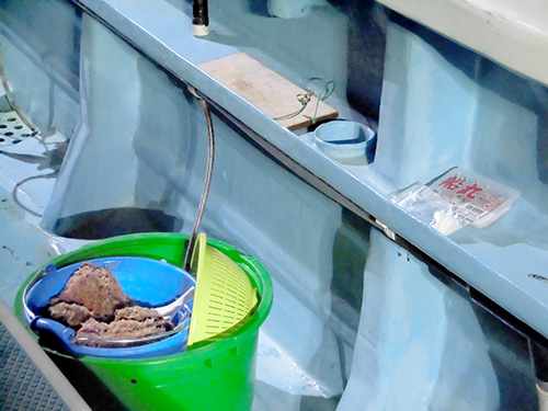 エサとコマセ、魚桶が配布される
