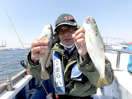 コノシロとイシモチ
