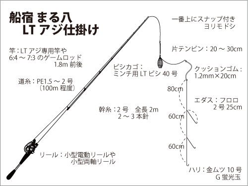 東京湾のlt ライトタックル アジ 美味しい中アジが活発 釣りビジョン マガジン 釣りビジョン
