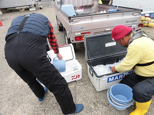 帰港後に追加の氷が貰えるのも嬉しい