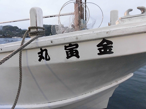 三浦半島・金田港『金寅丸』