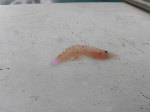 尻尾を切って真っ直ぐに刺す