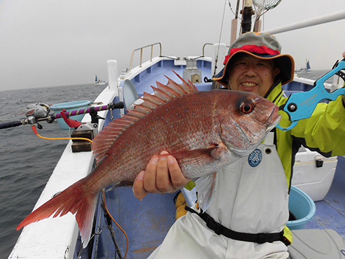 左舷!左右で均等に釣れた