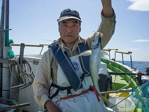 大型アジが上がる