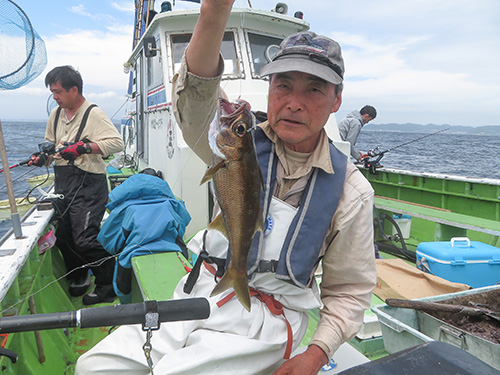 クロムツ登場