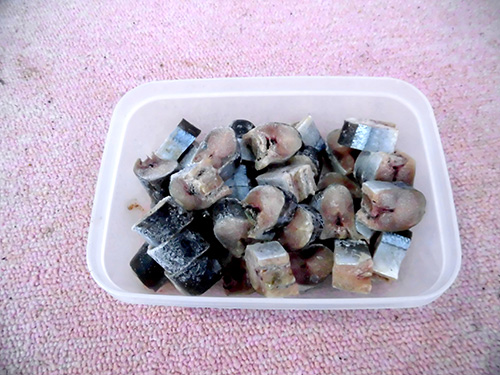 付け餌のサンマ