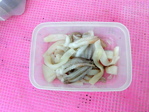 ヒラマサ用のイカ餌(各自持参)