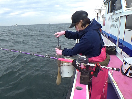 ミンチを海水で溶かし、ポンプで吸い取り、コマセ袋に詰める