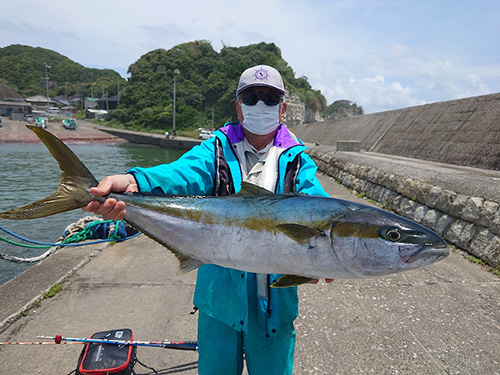 6月3日、ヒラマサ9kg頭に船中4匹!