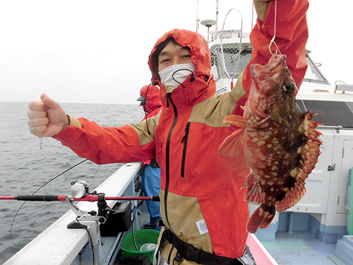 大きなカサゴも釣れた