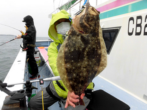 大きい!ヒラメ2.5kg!