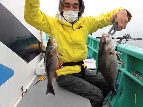 ショゴ(カンパチの若魚)も釣れる!