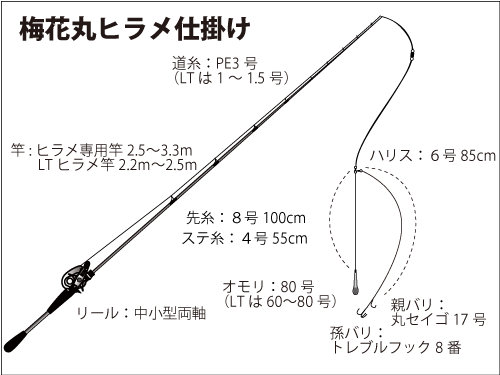 仕掛け図