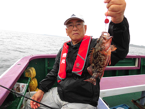 相当数釣れるカサゴ