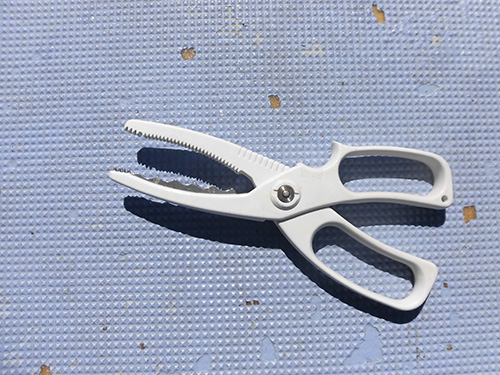 魚バサミ