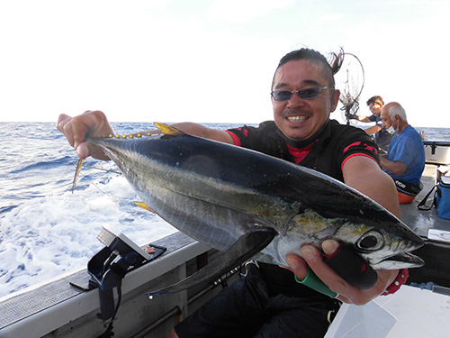 キメジ(キハダマグロの若魚)も!