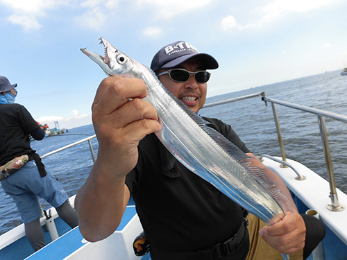 まるで“太刀”のような魚体