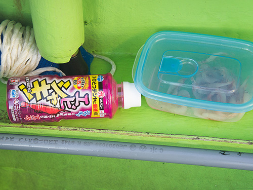 付け餌はコマセの中から綺麗な物を使用。餌の身崩れを防ぐ添加剤を使っていた
