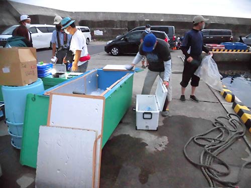 カウンター脇の氷箱から氷を詰める