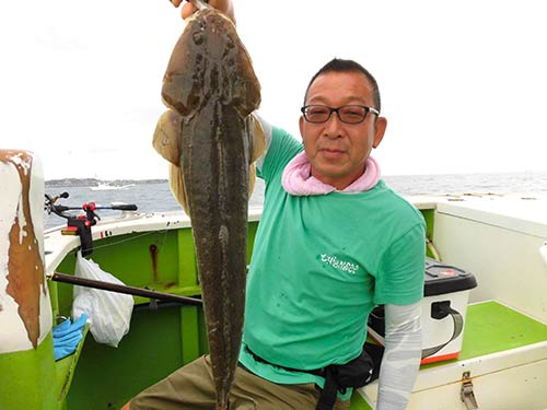 60cm級のマゴチ、嬉しいゲストだ!