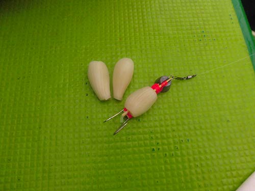 私も自家製塩ラッキョウを餌にテンヤ釣りに挑戦