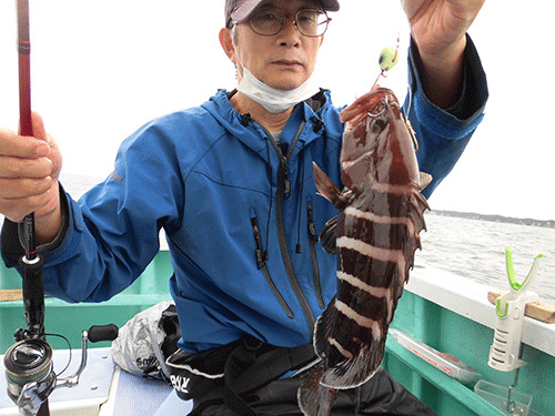 大原沖では定番ゲストのマハタ