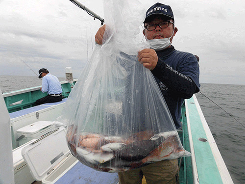 マダイ22匹を釣って竿頭!