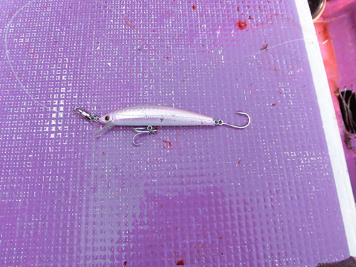 ヘビーシンキングミノー9cm