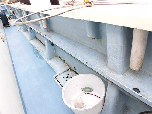 釣り座は事前にセット済み
