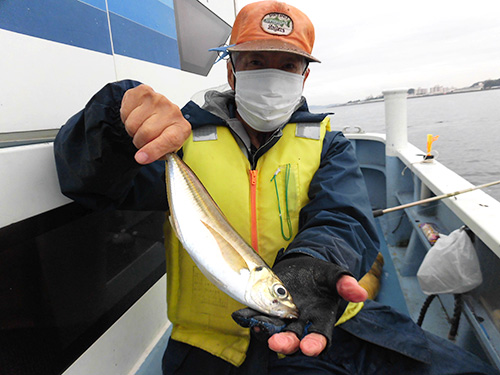 味に定評のある東京湾ブランド「金アジ」