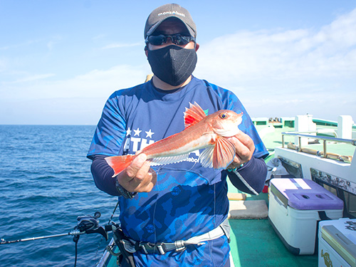 様々な魚をヒットさせた