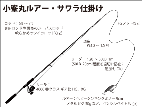 東京湾奥の ルアー サワラ ジグでミノーで絶好調 釣りビジョン マガジン 釣りビジョン