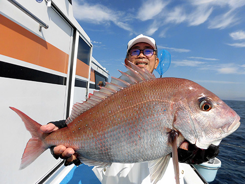 この日最大2.7kgのマダイ!