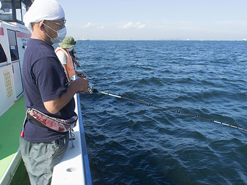 東京湾のスミイカ コウイカ 開幕 順調なスタート 釣りビジョン マガジン 釣りビジョン