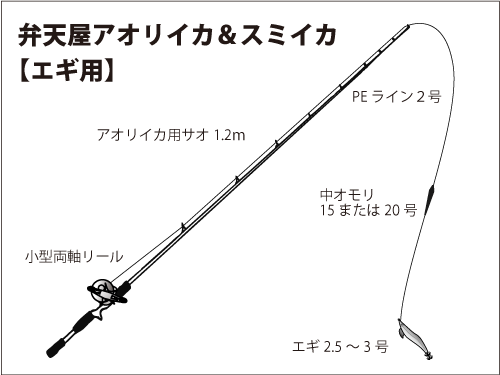 東京湾のスミイカ コウイカ 開幕 順調なスタート 釣りビジョン マガジン 釣りビジョン