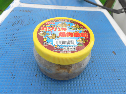 宿で購入したアサリ餌
