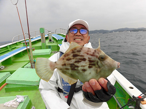 私にも25cm級のカワハギ!