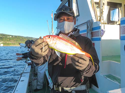 イトヨリは高級魚今期好調